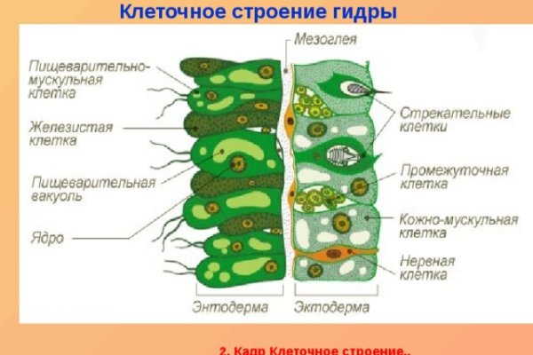 Ссылка на кракен в тор